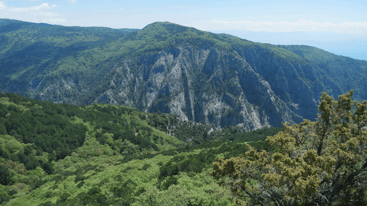 Kazdağları’na Girişler Yasaklandı