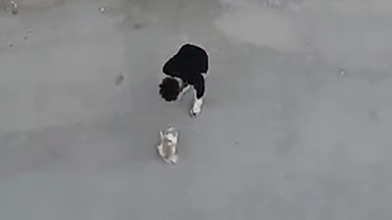 Köpeğine Eziyet Eden Şahıs Tekrar Gözaltına Alındı