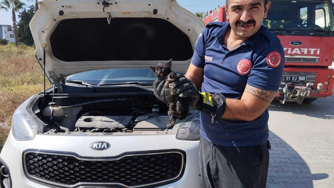 Motora Sıkışan Kedinin İmdadına İtfaiye Yetişti