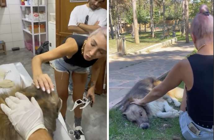 Av tüfeğiyle vurulmuştu! Hande Yener sahiplendiği köpeği ziyaret etti – Ankaragündem