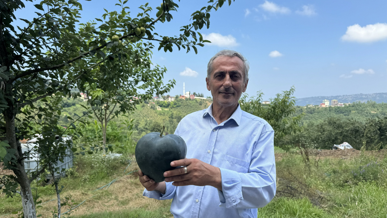 Karadenizli Temel’in Şansı Bu Meyveyle Döndü