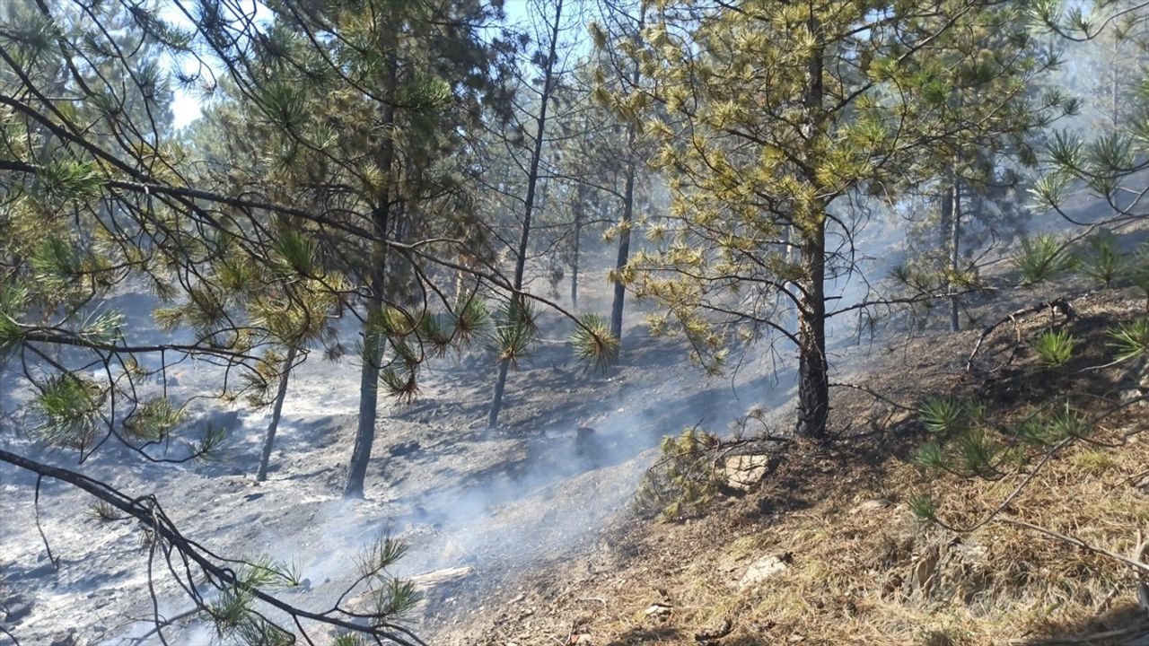 Tokat’taki Orman Yangını Kontrol Altına Alındı