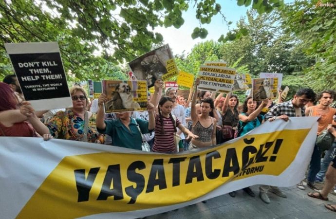 AKP İstanbul önünde Niğde ve Altındağ protestosu – Ankaragündem