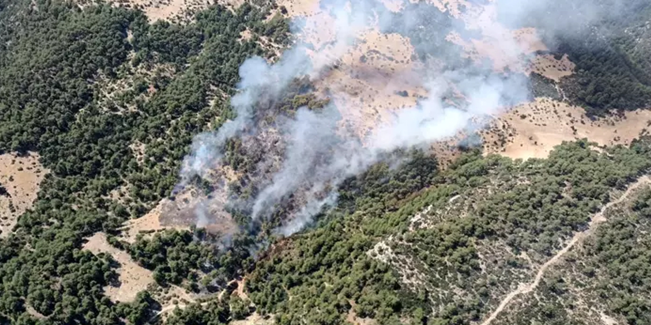 Orman yangını: Kaş’tan alevler yükseliyor