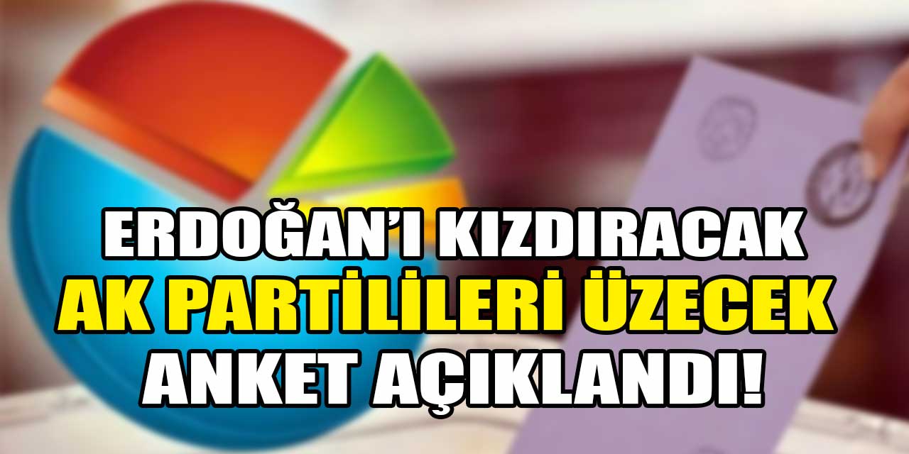 Erdoğan’ı kızdıracak, AK Partilileri üzecek anket açıklandı