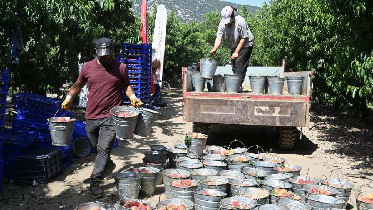 Bursa’nın meşhur lezzeti artık o şehirle bütünleşti! 7 ayda 66 ülkeye gönderildi! Ruslar milyonları akıtıyor