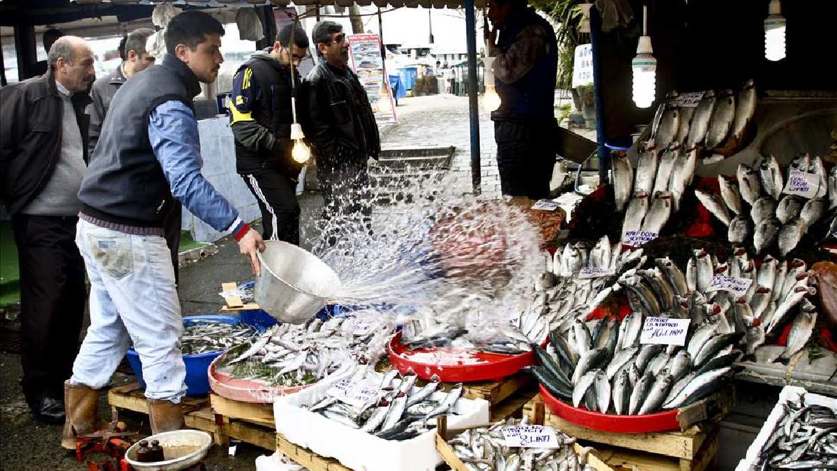 Yasak kalktı bolluk göründü ama fiyatlar düşmedi! İstavrit 350, palamut 200…