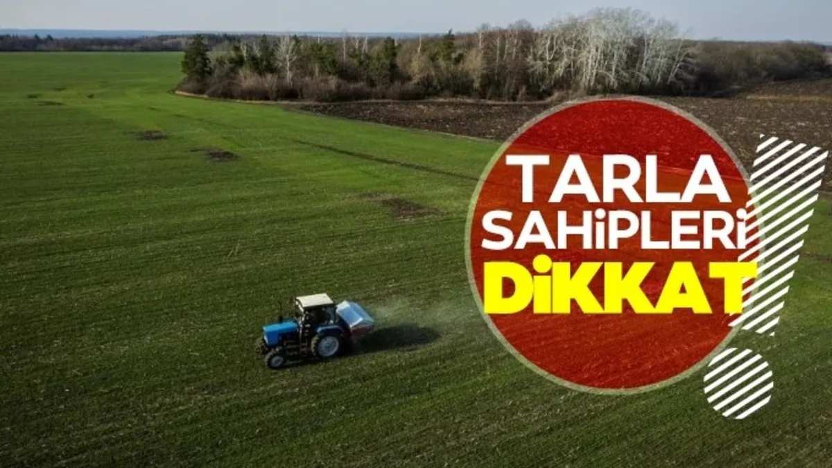 Tarlası bulunanlara devlet müjdesi! Her ay ödeme yapılacak! Herkes kazanacak