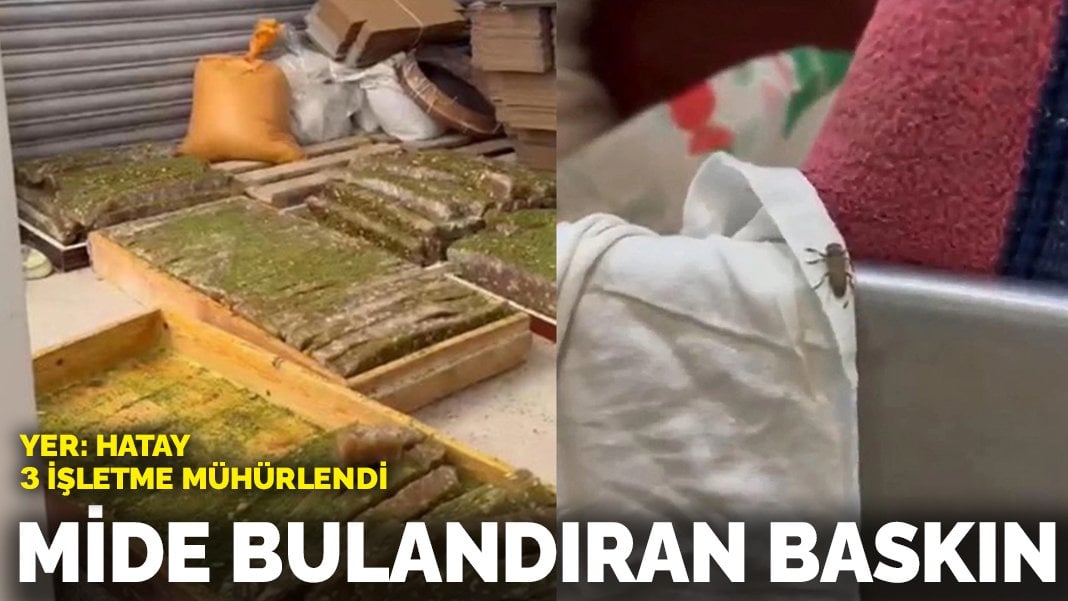 Mide bulandıran baskın! 3 işletme mühürlendi