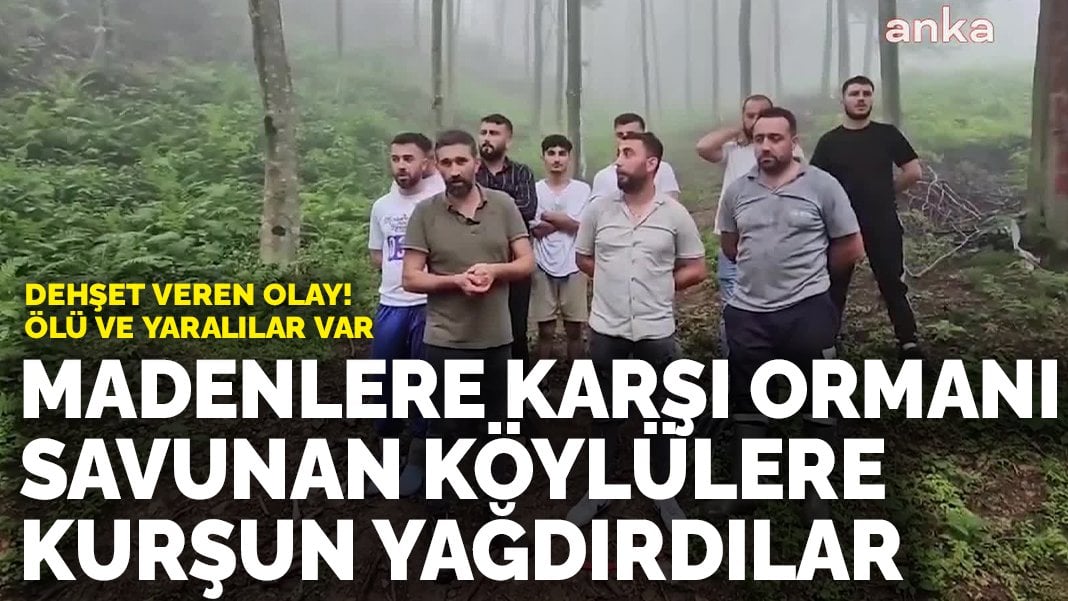 Dehşet veren olay! Hopa’da ormanı savunan köylülere ateş açıldı! Ölü ve yaralılar var