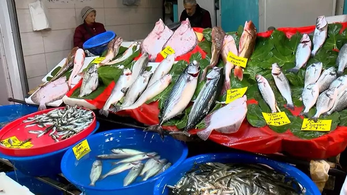 Oltalar atıldı, fiyatlar yarıya kadar düştü! Palamut, hamsi, istavrit, çipura… İşte dolapları dolduracak balık fiyatları