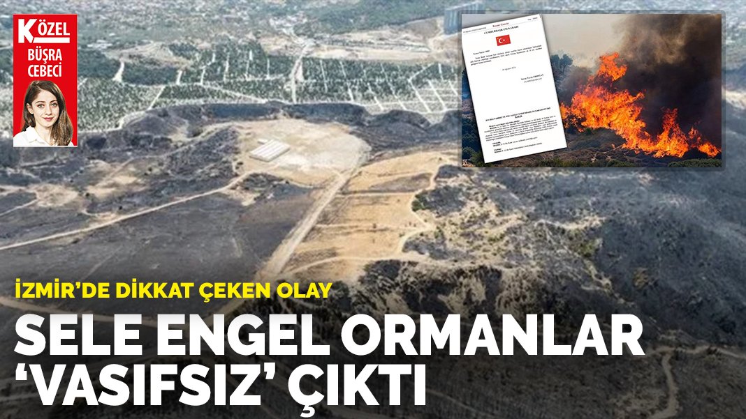 Sele engel ormanlar ‘vasıfsız’ çıktı