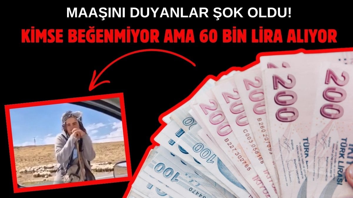 Bu işi yapanları beğenmezlerdi, maaşını duyan vatandaşlar küçük dilini yuttu! “Ankara’yı bırakıp sana rakip olacağım”