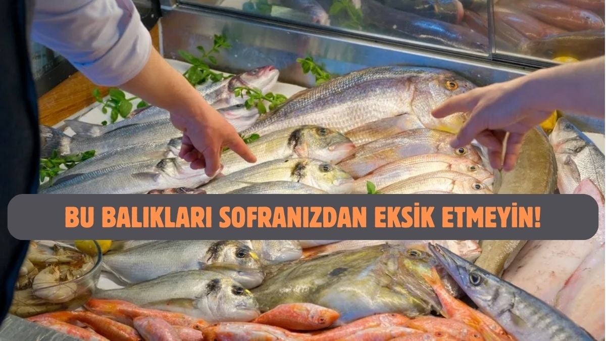 Ağlar denizle buluştu, tezgahlar doldu taştı! Peki, bu mevsimde hangi balık yenir? İşte sofranızda mutlaka olması gerekenler