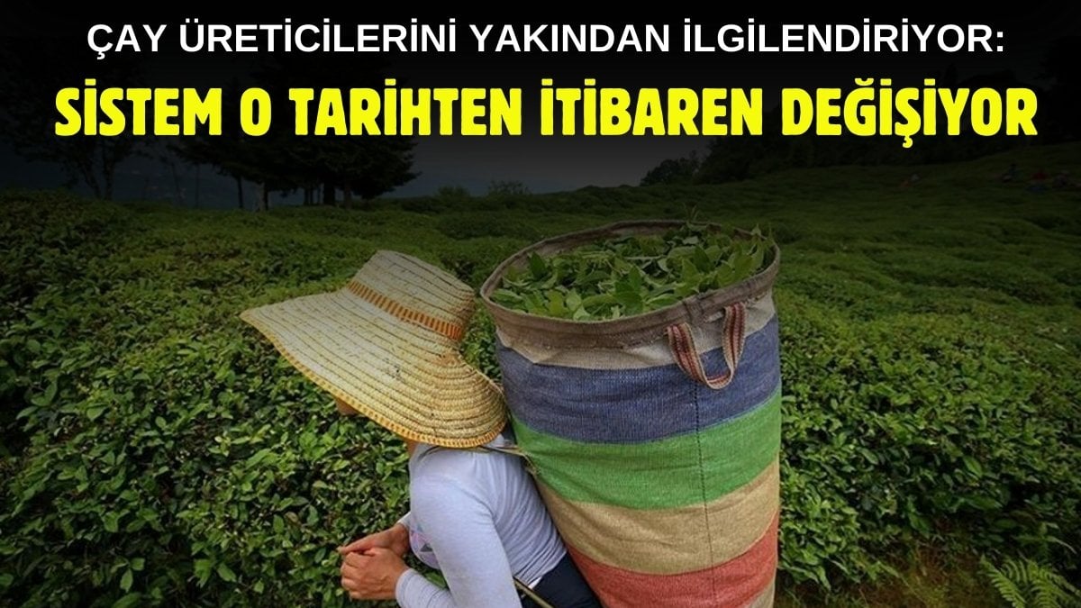 Çay üreticileri dikkat, yarın yeni sisteme geçiliyor! Çaykur duyurdu: Alımlar artık böyle yapılacak