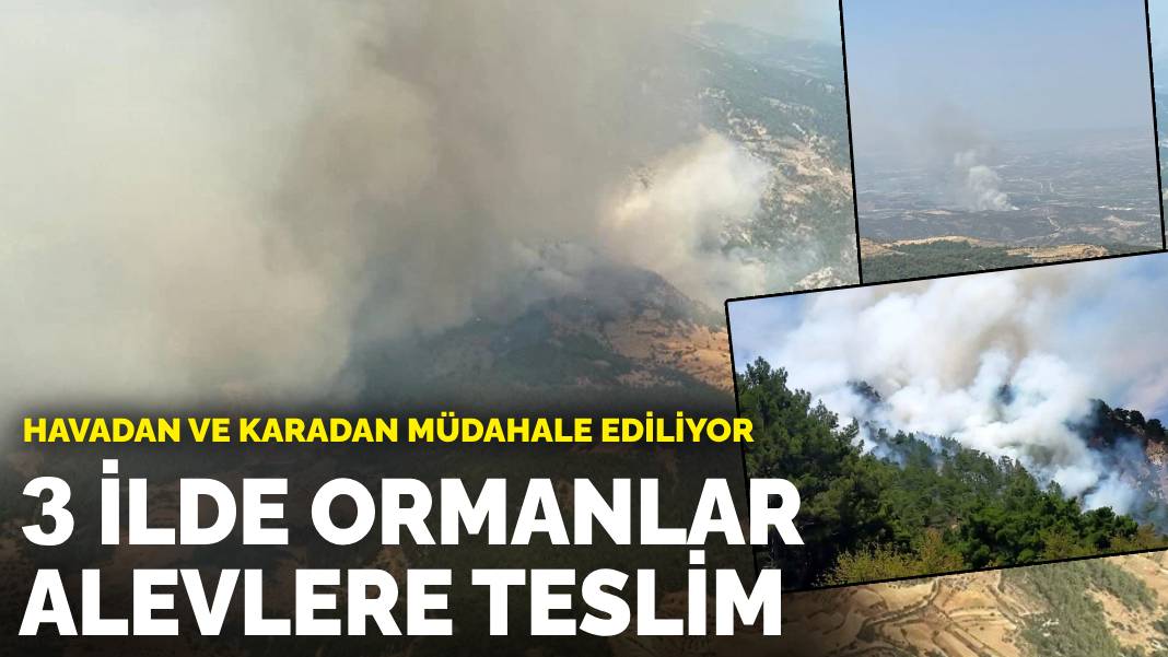 3 ilde ormanlar alevlere teslim: Havadan ve karadan müdahale ediliyor