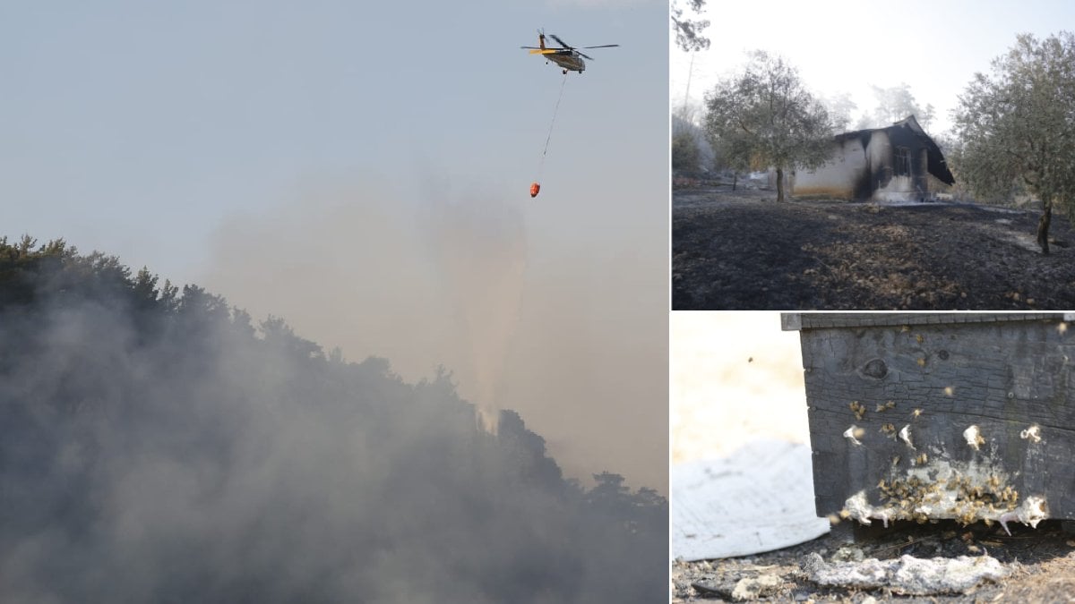 Muğla’daki orman yangınında ikinci gün: Havadan ve karadan müdahale sürüyor