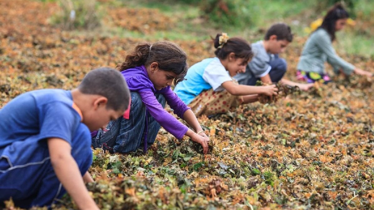 İPA: Her 5 çocuktan biri derin yoksullukla yüz yüze