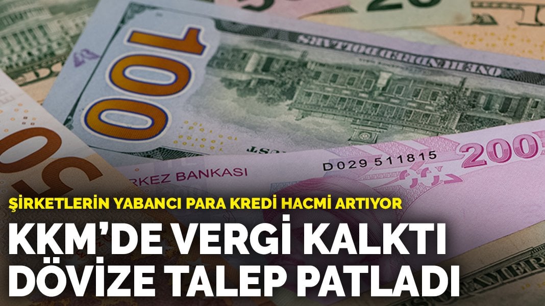 KKM’de vergi kalktı dövize talep patladı: Şirketlerin yabancı para kredi hacmi artıyor