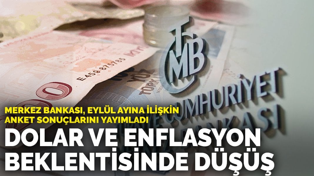 Merkez bankası, eylül ayına ilişkin anket sonuçlarını yayımladı: Dolar ve enflasyon beklentisinde düşüş