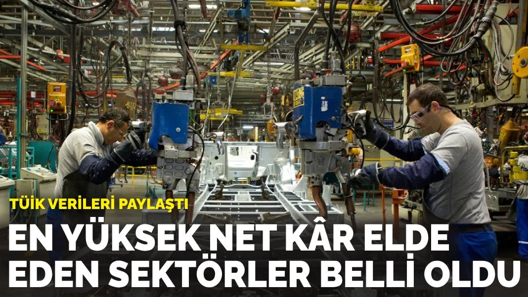 TÜİK verileri paylaştı: En yüksek net kâr elde eden sektörler belli oldu