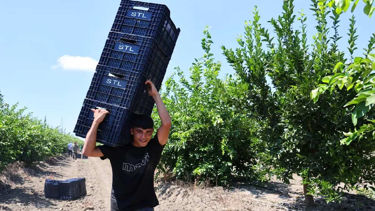 2 ay sonra toplanacak, kilometre başına zam işleyecek! Sofrada yüzde 300 zamlı geliyor! Vatandaş bunu da mı yemesin?