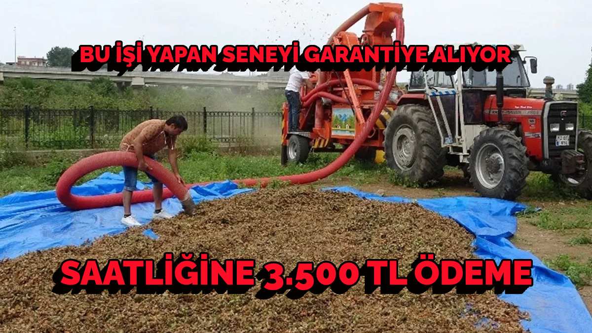 Bu işte paraya para demiyorlar! 1,5 ay çalışıyorlar, saatte 3500 TL kazanıyorlar