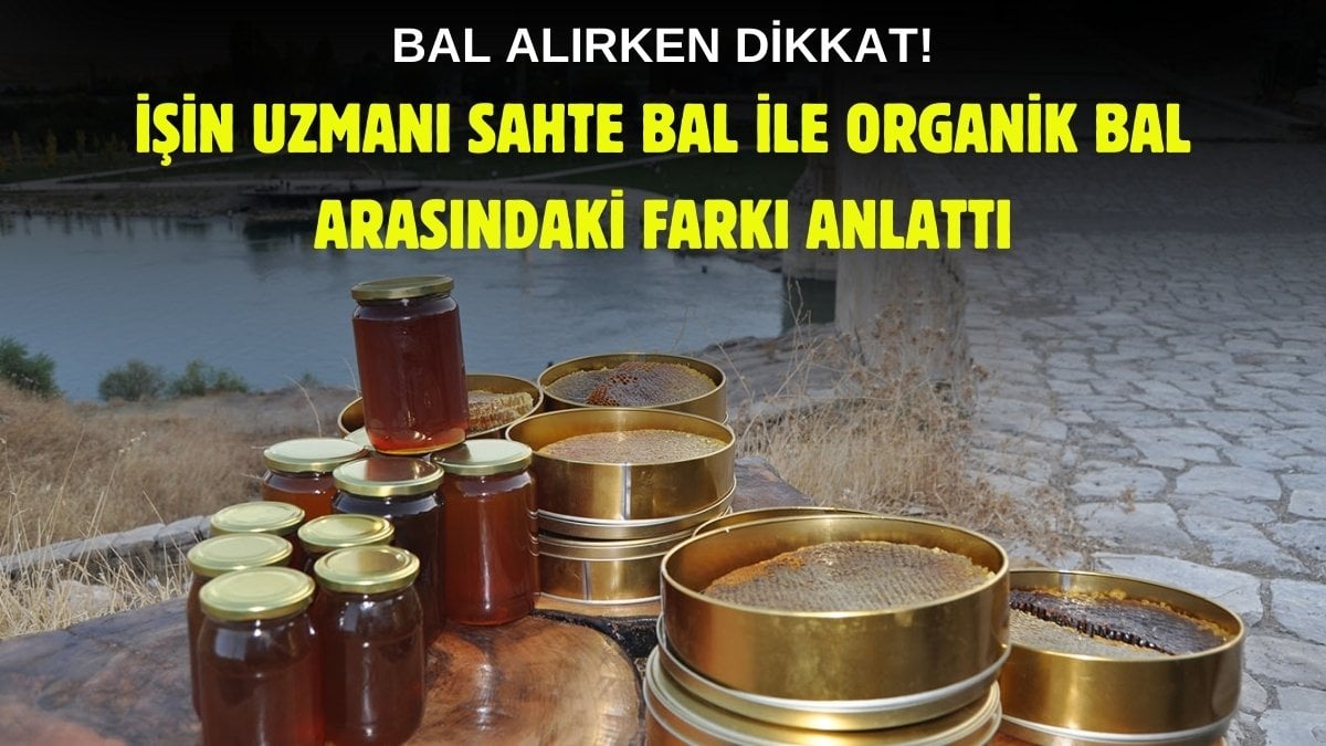 Yılların arıcısı formülü verdi! Sahte ve organik bal böyle anlaşılıyormuş: Eğer sertse ve boğazı yakarsa…