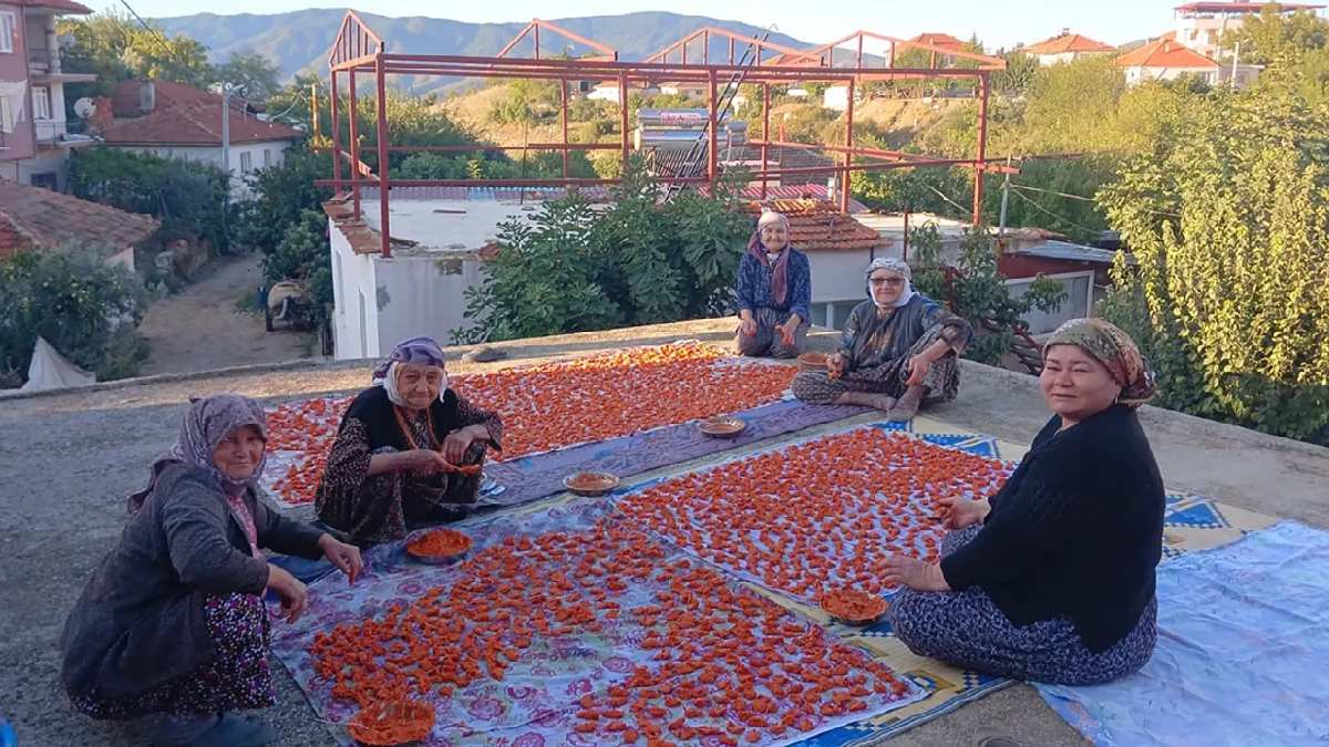 Ne Japonlar ne Çinliler! 90 yaşını gören Türkler anlattı: Uzun ömrün sırrı bu besinde saklıymış