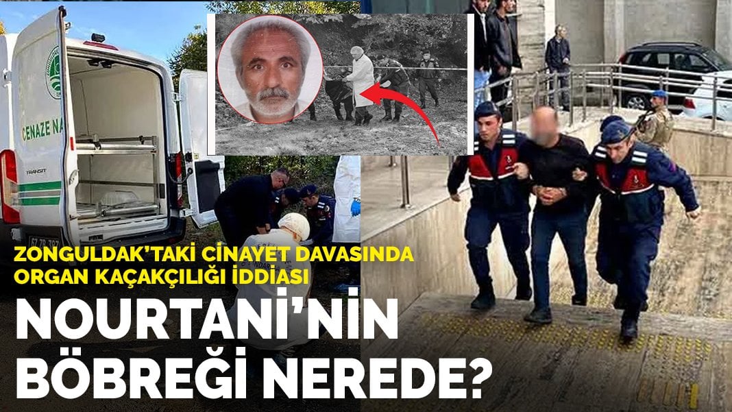 Zonguldak’ta dehşet verici cinayet: Organ kaçakçılığı bağlantıları araştırılıyor! Nourtani’nin böbreği nerede?