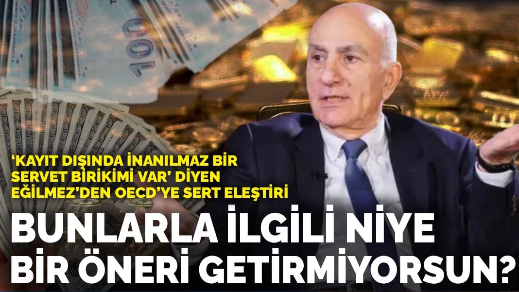 ‘Kayıt dışında inanılmaz bir servet birikimi var’ diyen Eğilmez OECD’ye sert çıktı:Bunlarla ilgili niye bir öneri getirmiyorsun?