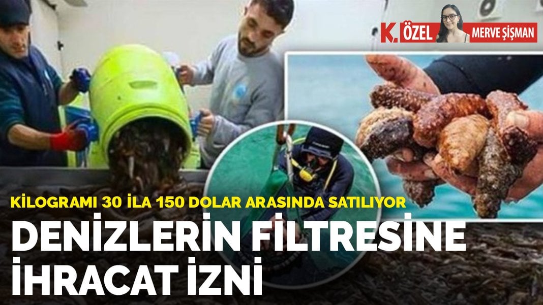 Denizlerin filtresine ihracat izni