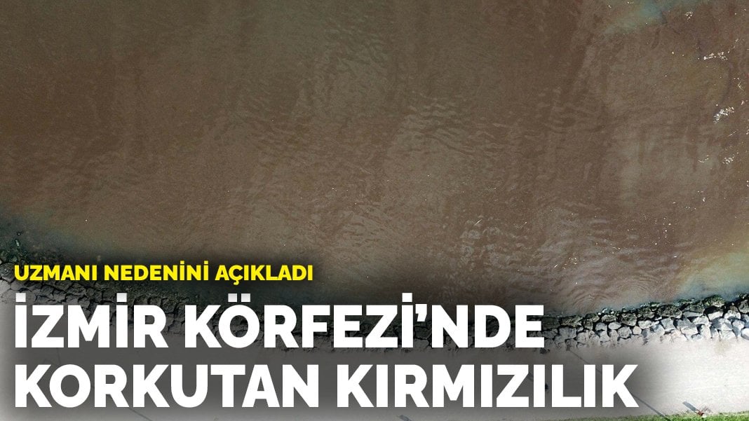 İzmir Körfezi’nde korkutan kırmızılık: Uzmanı nedenini açıkladı