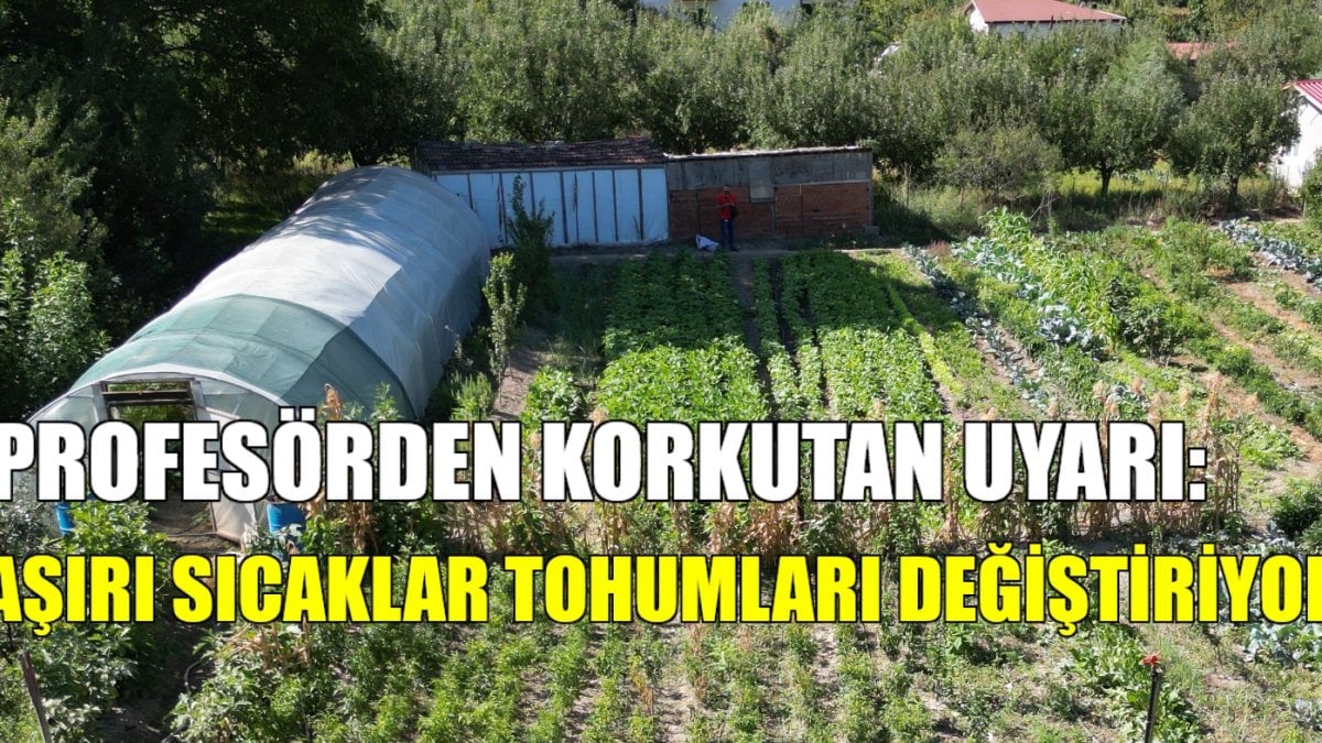 Çiftçiler tarlanızda görünce şok olmayın! Sıcak hava tohumları değiştiriyor: Profesörün açıklaması korkuttu