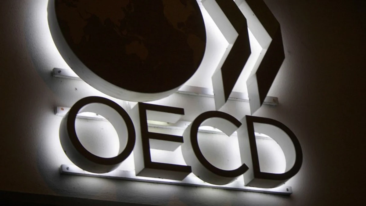 OECD’den  ‘Küresel Ekonomik Görünüm Raporu: Türkiye için büyüme tahminini düşürdü