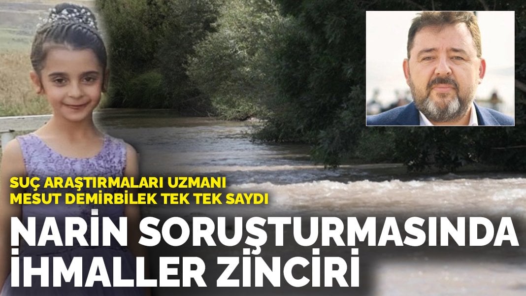 Narin soruşturmasında ihmaller zinciri! Suç araştırmaları uzmanı Mesut Demirbilek tek tek saydı