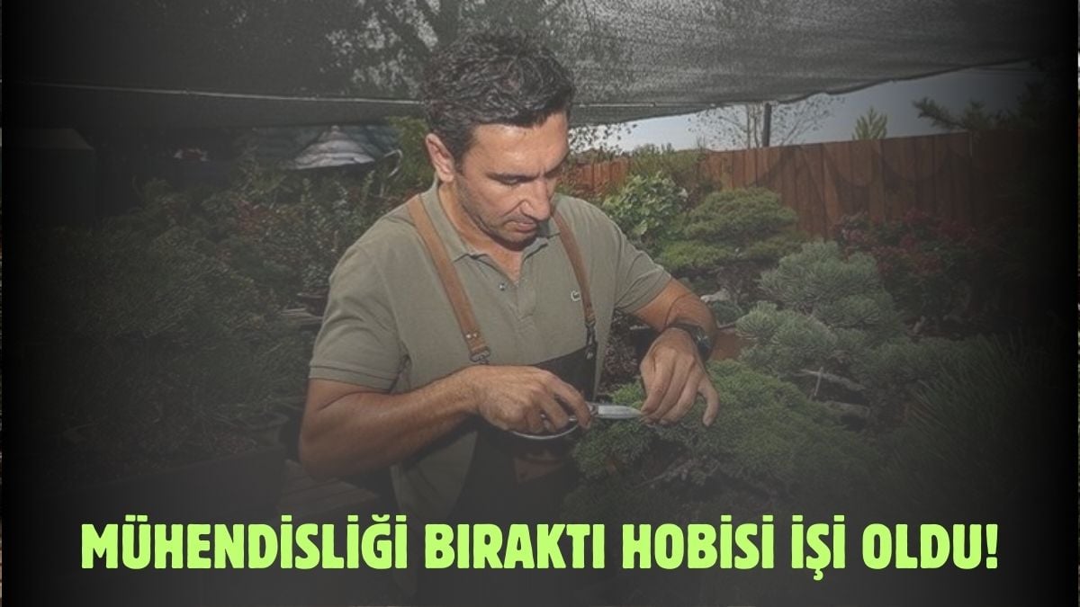 Hobisi ağır bastı mühendisliği bıraktı! Şimdi bonsai yetiştiriyor duyanlar ‘Nasıl yani?’ diyor: Hepsine çocuğu gibi bakıyor