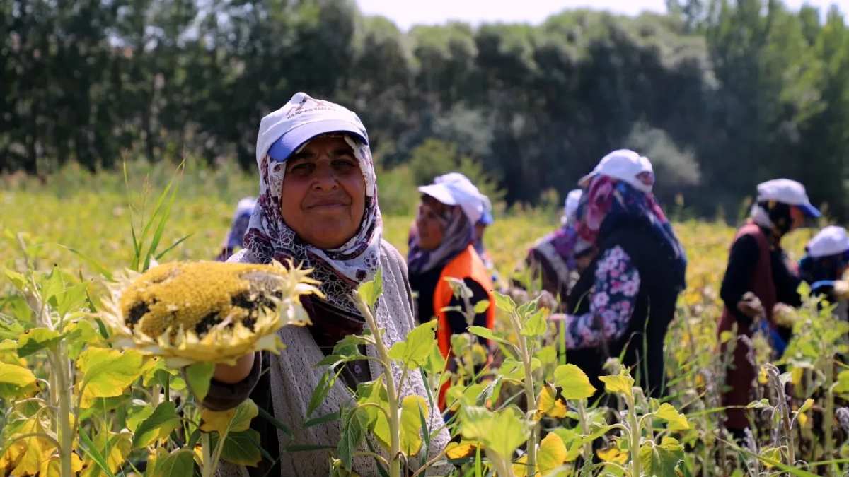 Ona dedikodu başlatan deniyor, markette yok satıyor! Çocuk gibi bakım istiyor, sabah erkenden toplanıyor