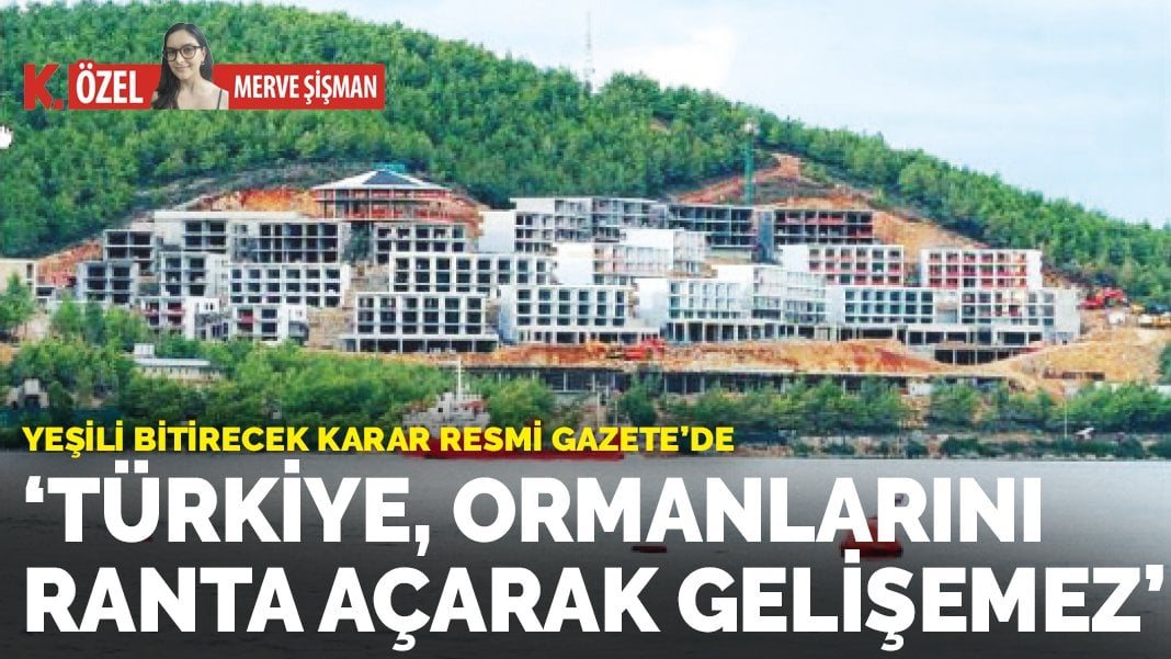 Yeşili bitirecek karar Resmi Gazete’de: Türkiye, ormanlarını ranta açarak gelişemez