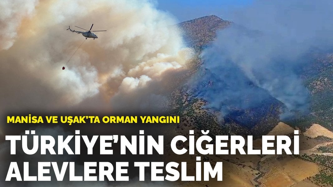 Türkiye’nin ciğerleri alevlere teslim: Manisa ve Uşak’ta orman yangını