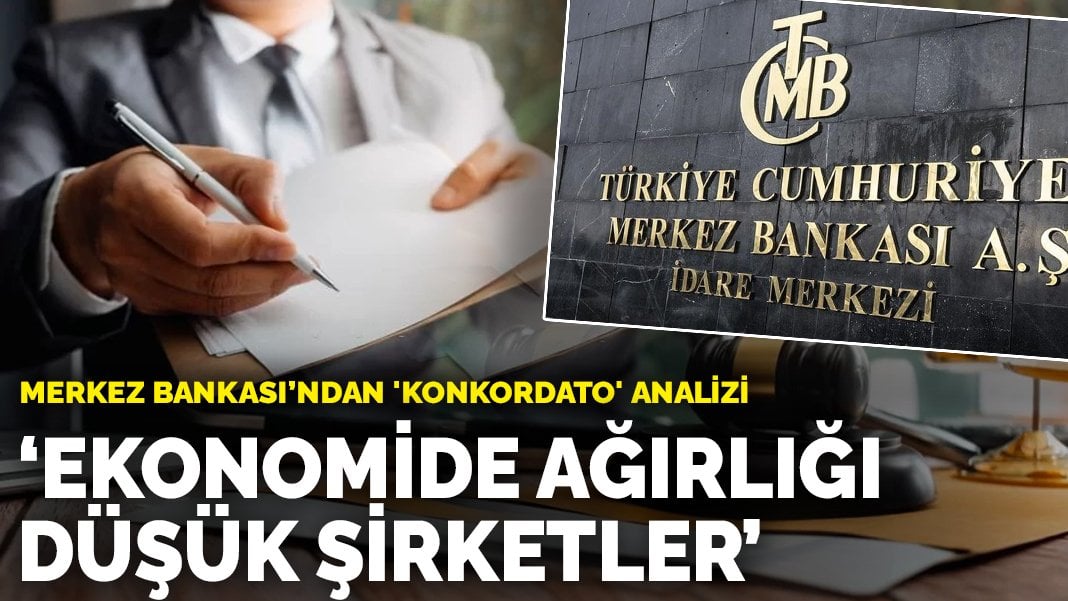 Merkez Bankası’ndan ‘konkordato’ analizi: Ekonomide ağırlığı düşük şirketler