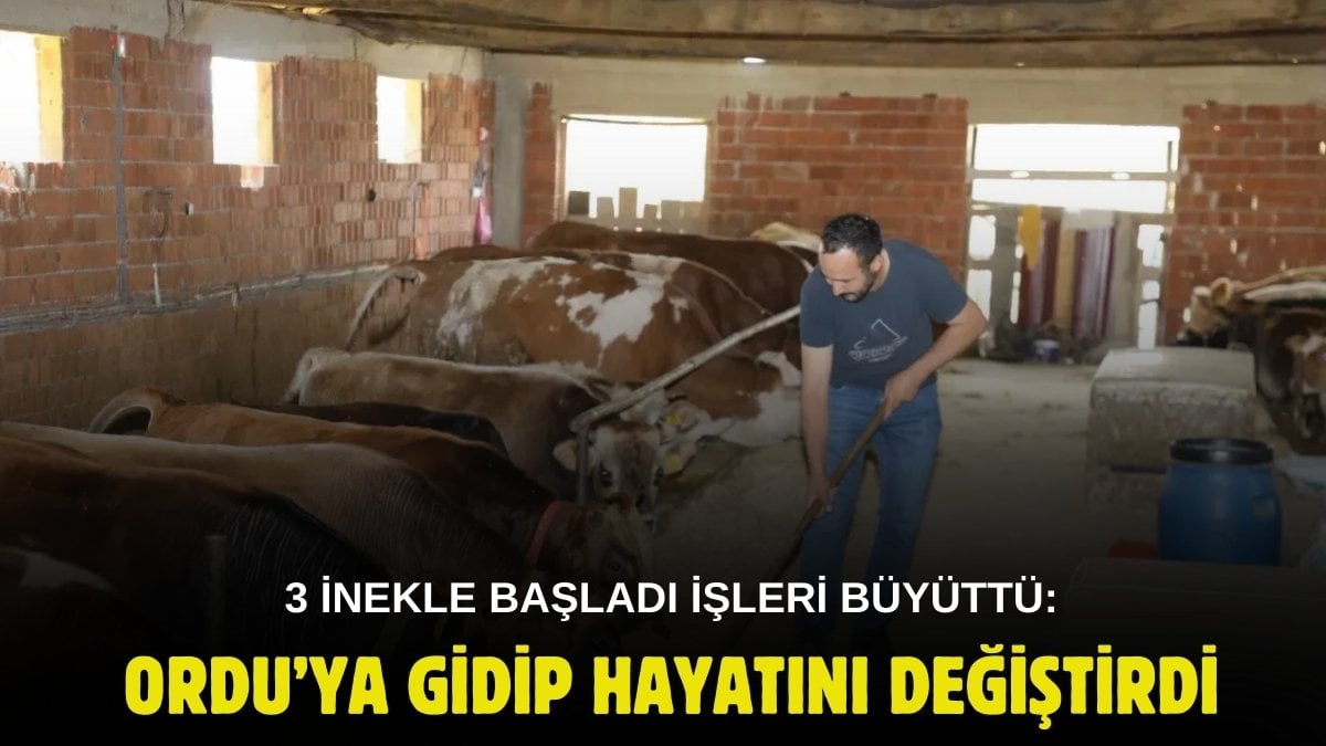 Marmara’dan ayrılıp Ordu’ya yerleşti, hayvancılığa başladı! 3 inekle başladığı işte şimdi patron: Kilo kilo süt alıyor