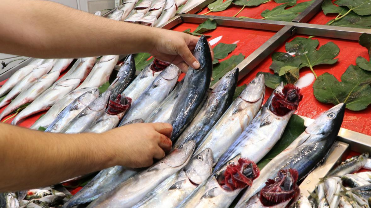 Balık Bolluğu Sonrası Etiket Fiyatlarında Sert Düşüş