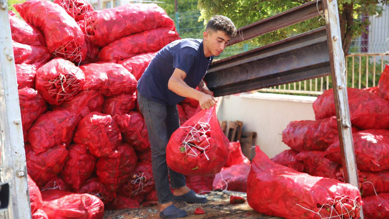 Gaziantep’te Yoğun Üretim Başladı: Bu Sene Fiyatları Çok Düştü, 1 Kilogramı 18 TL