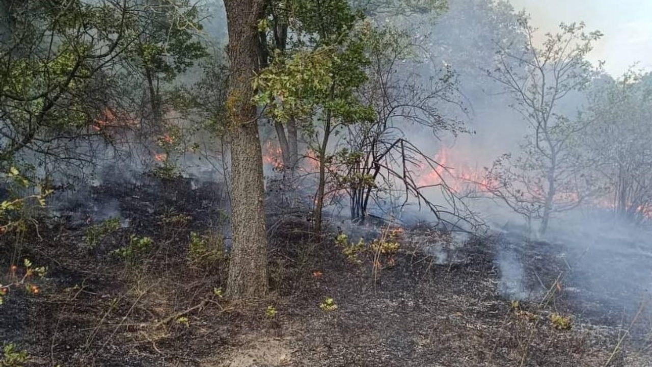 Kırklareli’de Orman Yangını Söndürüldü