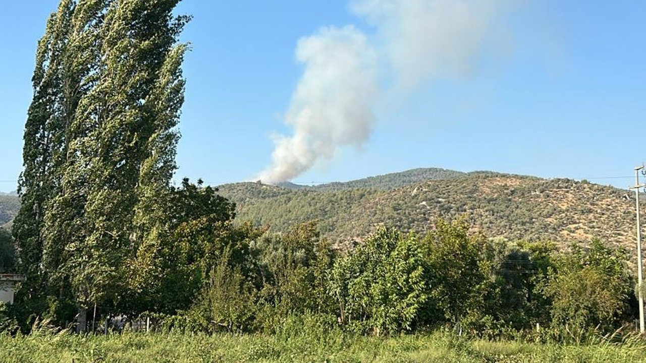 Muğla Milas’ta Ormanlık Alanda Yangın