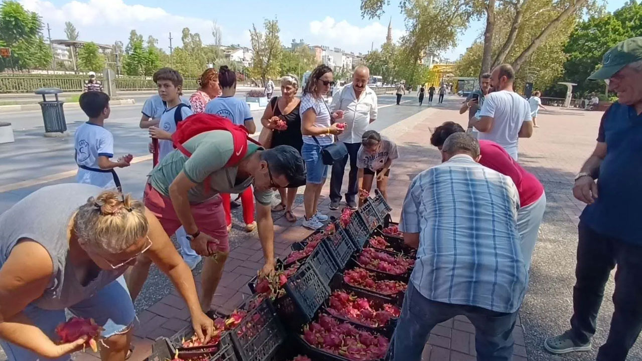 Tanesi 150 Liradan Satılan Meyveyi Bedavaya Dağıttı: Kapış Kapış Aldılar! Faydası Saymakla Bitmiyor