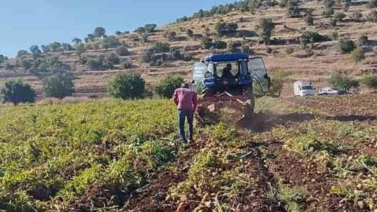 Yozgat’ta hasat başladı: Fiyatlar Düşük, Verim Yüksek