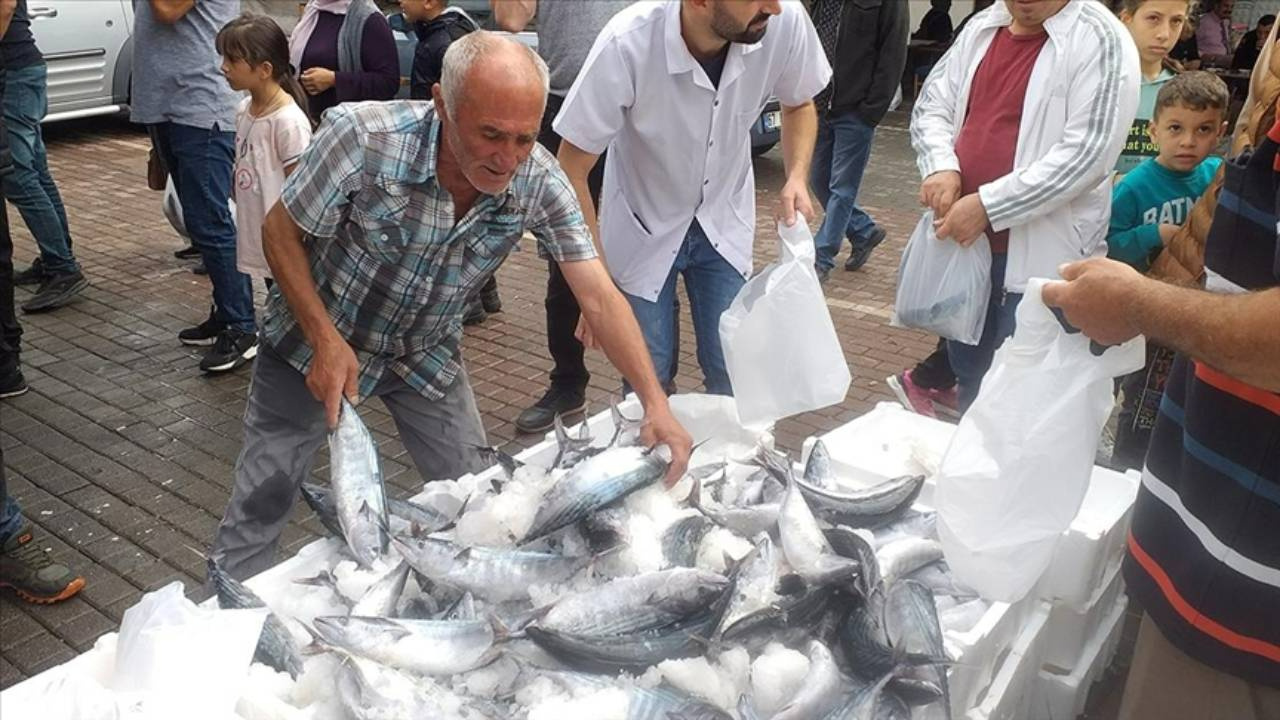 Zonguldak’ta Palamut Fiyatları 75 TL Oldu