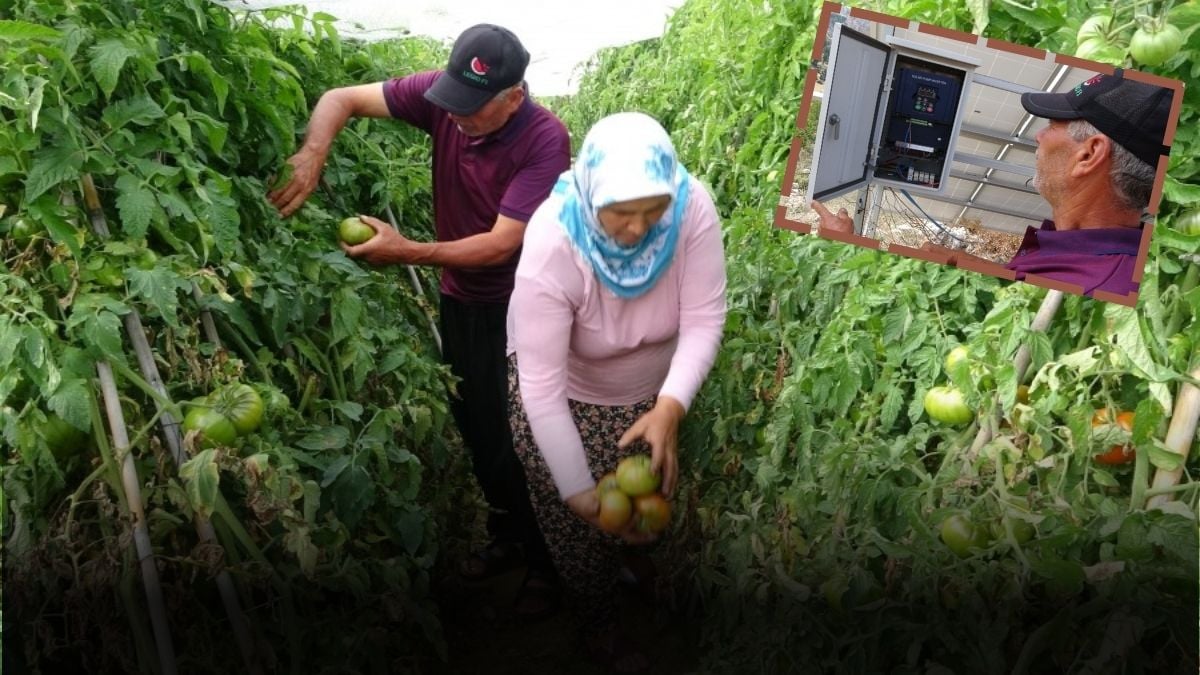 Türk çiftçi bahçesine kurdu, enerji maliyetini sıfırladı! Hem su hem elektrik bedava: Yılda 70 Bin TL kâr ediyor